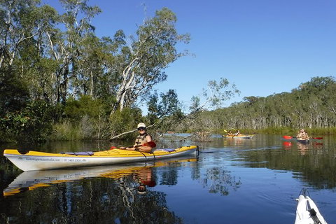 Self-Guided Noosa Everglades Kayak Tour - Attractions Melbourne 0