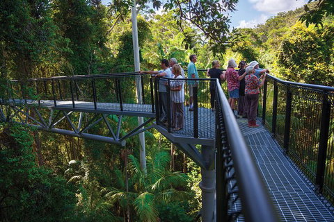 The Best Of Tamborine Mountain From The Gold Coast - Attractions Melbourne 2