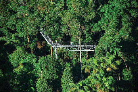 The Best Of Tamborine Mountain From The Gold Coast - Attractions Melbourne 3
