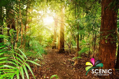 The Best Of Tamborine Mountain From The Gold Coast - Attractions Melbourne 1