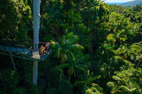 The Best Of Tamborine Mountain From The Gold Coast - Attractions Melbourne 0
