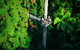 The Best Of Tamborine Mountain From The Gold Coast - thumb 4