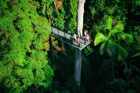 The Best Of Tamborine Mountain From The Gold Coast - Attractions Melbourne 4