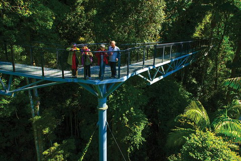 The Best Of Tamborine Mountain From The Gold Coast - Attractions Melbourne 7