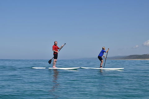 Stand Up Paddle 4WD Day Trip From Noosa Including Great Beach Drive Experience - Attractions Melbourne 1