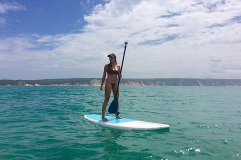 Stand Up Paddle 4WD Day Trip From Noosa Including Great Beach Drive Experience - Attractions Melbourne 11