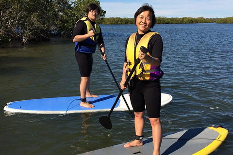 Stand Up Paddle 4WD Day Trip From Noosa Including Great Beach Drive Experience - Attractions Melbourne 10