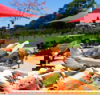 Sunshine Coast Private Gourmet Food and Wine Tour - Attractions Melbourne