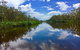 Noosa Everglades Serenity Cruise & Highlights Tour Inc. Lunch & Cruise - thumb 7