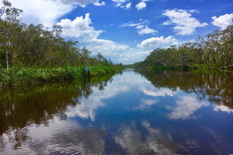 Noosa Everglades Serenity Cruise & Highlights Tour Inc. Lunch & Cruise - Attractions Melbourne 7