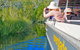 Noosa Everglades Serenity Cruise & Highlights Tour Inc. Lunch & Cruise - thumb 0