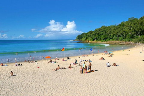 Noosa Everglades Serenity Cruise & Highlights Tour Inc. Lunch & Cruise - Attractions Melbourne 2