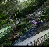 4-Day Cairns with Great Barrier Reef and Daintree Rainforest - Attractions Melbourne