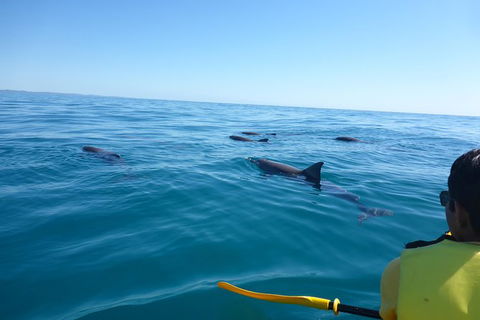 Private Double Island Rainbow Beach Day Trip From Noosa - Attractions Melbourne 1