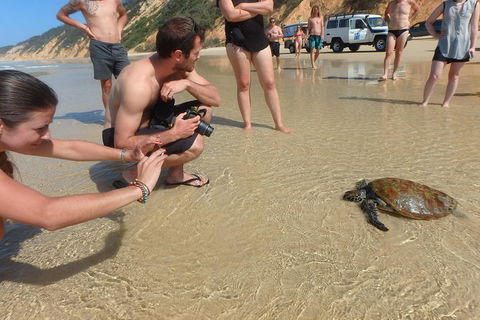 Private Double Island Rainbow Beach Day Trip From Noosa - Attractions Melbourne 9