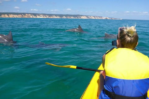 Private Double Island Rainbow Beach Day Trip From Noosa - Attractions Melbourne 11