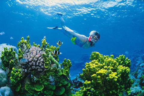 Full Day Snorkel In The Great Barrier Reef - Attractions Melbourne 0