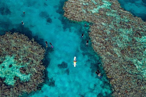 Full Day Snorkel In The Great Barrier Reef - Attractions Melbourne 1