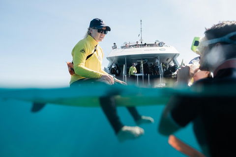 Full Day Snorkel In The Great Barrier Reef - Attractions Melbourne 7