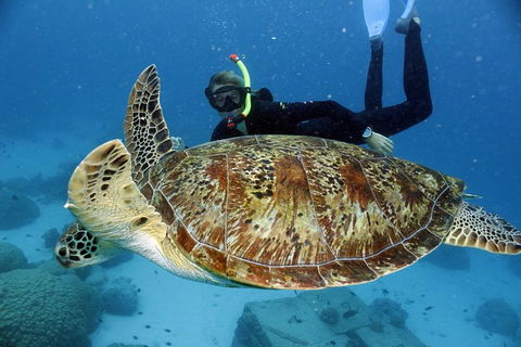 Full Day Snorkel In The Great Barrier Reef - Attractions Melbourne 4