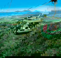 Kuranda Rainforest station Scenic railway and Skyrail tour - Attractions Melbourne