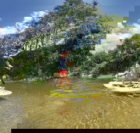 Babinda Half Day or Full Day Stand-up Paddle Board Self-Guided Tour - Attractions Melbourne