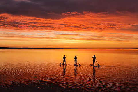 Stand Up Paddle Board Hire - Attractions Melbourne 2