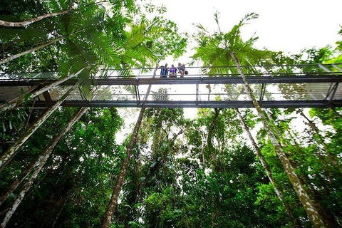 Daintree Discovery Centre Family Pass Ticket - Attractions Melbourne 3