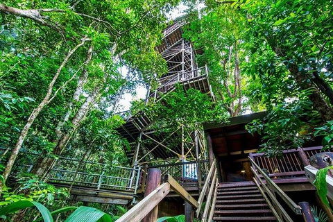 Daintree Discovery Centre Family Pass Ticket - Attractions Melbourne 4