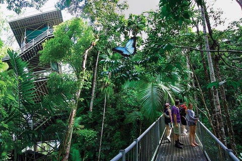 Daintree Discovery Centre Family Pass Ticket - Attractions Melbourne 2