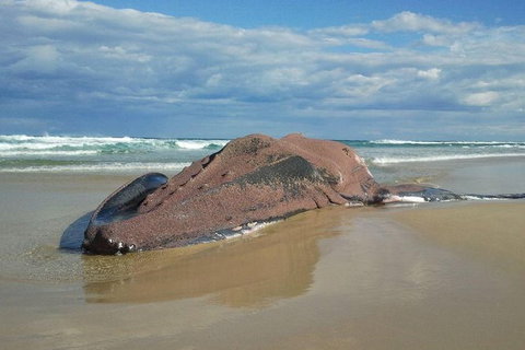 Stradbroke Island Adventure - Attractions Melbourne 7