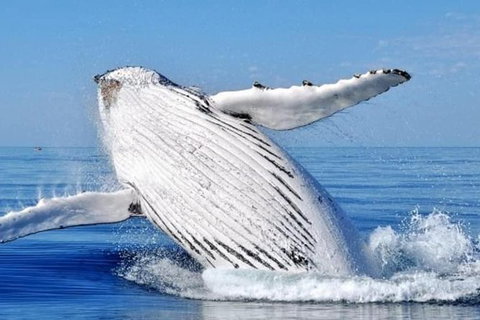 Stradbroke Island Adventure - Attractions Melbourne 8