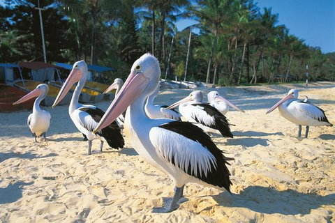 Stradbroke Island Adventure - Attractions Melbourne 5