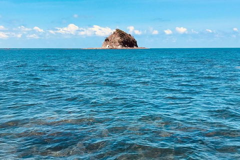 Exclusive Double Island Boat Tours From Palm Cove - Attractions Melbourne 10