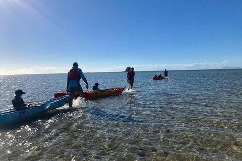 Exclusive Double Island Boat Tours From Palm Cove - Attractions Melbourne 3