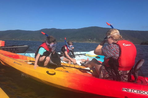 Exclusive Double Island Boat Tours From Palm Cove - Attractions Melbourne 14