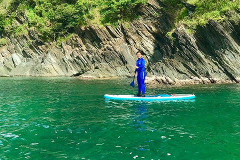 Exclusive Double Island Boat Tours From Palm Cove - Attractions Melbourne 8