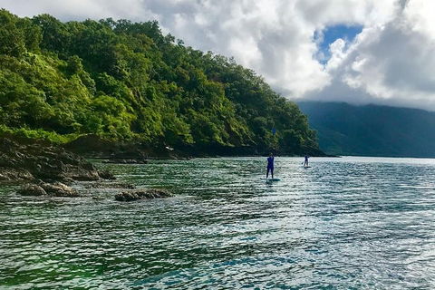 Exclusive Double Island Boat Tours From Palm Cove - Attractions Melbourne 13
