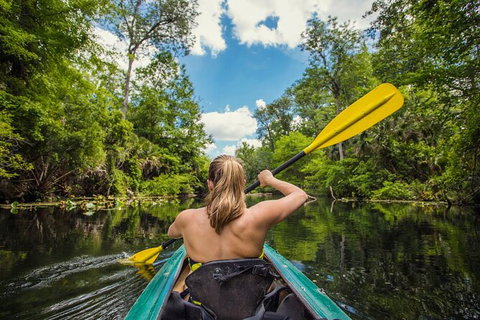Kayak, EMtn Bike, Local Vineyard = Perfect Hinterland Day Tour - Attractions Melbourne 2