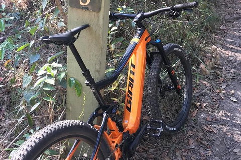 Kayak, EMtn Bike, Local Vineyard = Perfect Hinterland Day Tour - Attractions Melbourne 3