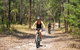 Kayak, EMtn Bike, Local Vineyard = Perfect Hinterland Day Tour - thumb 18