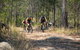 Kayak, EMtn Bike, Local Vineyard = Perfect Hinterland Day Tour - thumb 13