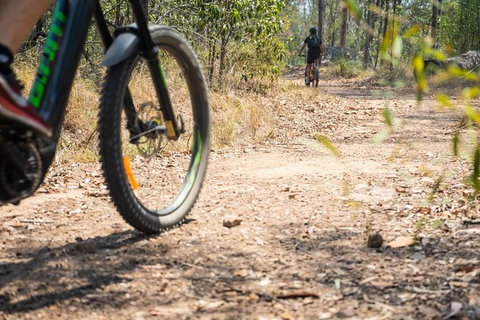 Kayak, EMtn Bike, Local Vineyard = Perfect Hinterland Day Tour - Attractions Melbourne 8