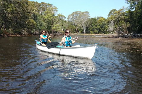 Noosa Hinterland Scenic Canoe Tour - Attractions Melbourne 3