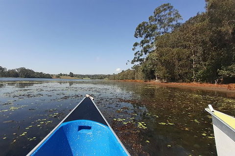 Noosa Hinterland Scenic Canoe Tour - Attractions Melbourne 2