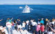 Gold Coast City Card (3 Days Card): Unlimited Attractions - thumb 6
