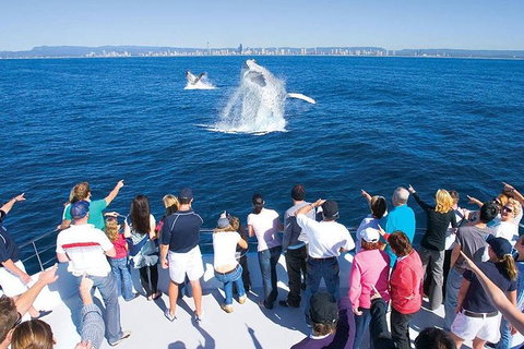 Gold Coast City Card (3 Days Card): Unlimited Attractions - Attractions Melbourne 6