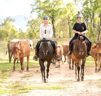 Ride the Outback at Ironbark House Dimbulah Horse Riding - Attractions Melbourne