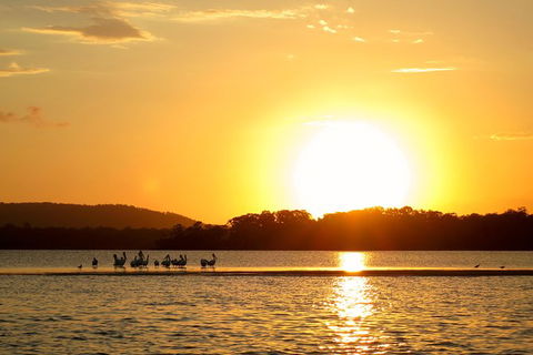 Noosa River Cruise For 3 To 4 People On A Classic Mahogany Speed Boat - 90 Min. - Attractions Melbourne 6