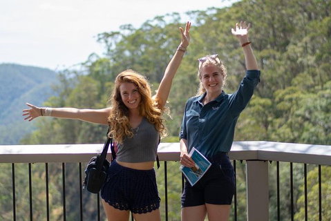 Full-Day Guided Hinterland Adventure Tour In Queensland - Attractions Melbourne 11